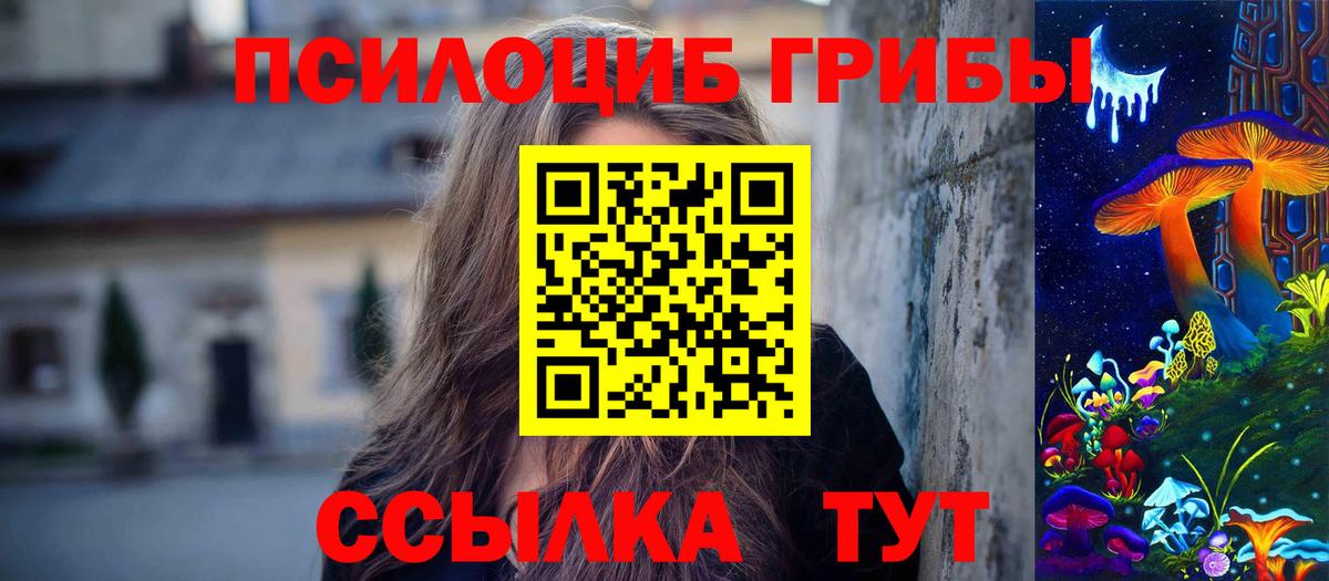 Галлюциногенные грибы Psilocybine cubensis Сертолово