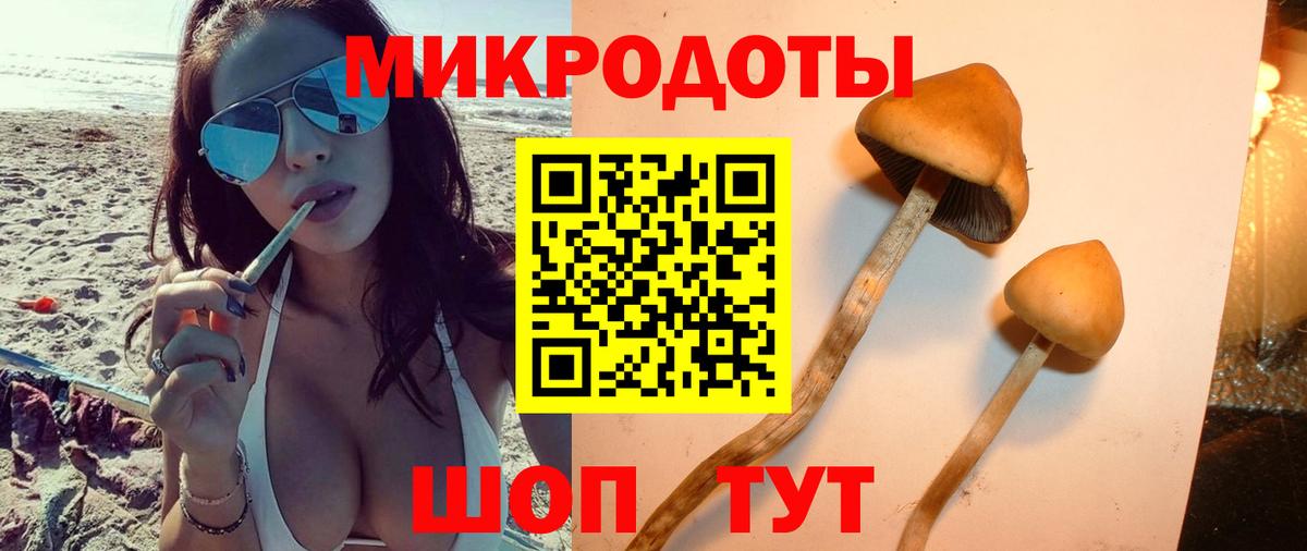цены   Галлюциногенные грибы MAGIC MUSHROOMS  Вход с VPN  Галлюциногенные грибы Psilocybine cubensis  Сертолово 